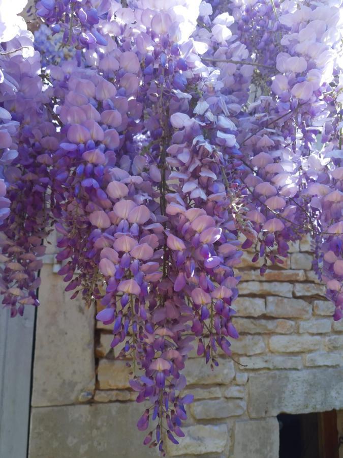 Wisteria Cottage Les Adjots Extérieur photo
